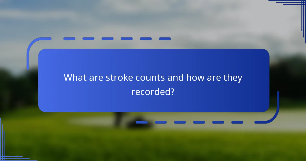 What are stroke counts and how are they recorded?
